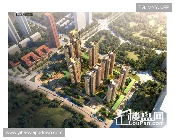 壹号手机网址新品发布,第一时间了解最新手机上市动态